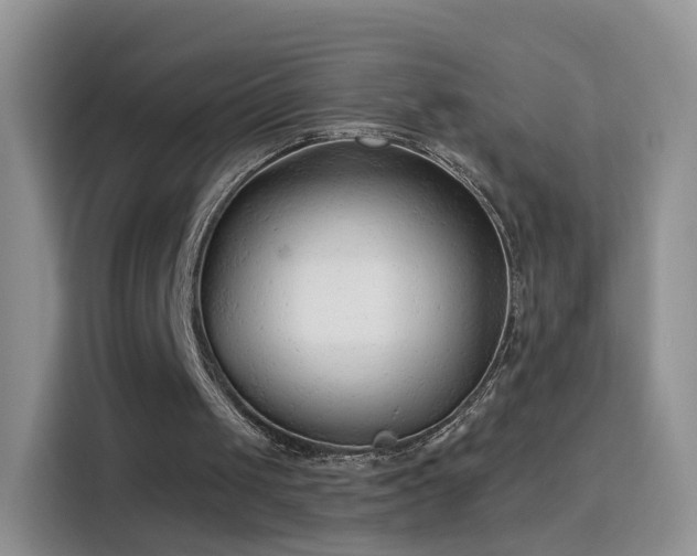 X0000115770049200911201226