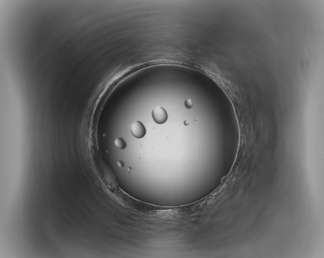 X0000115770050200911201226