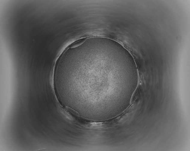 X0000115770052200911201226
