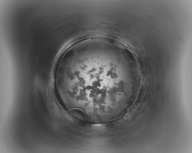 X0000115770053200911201226