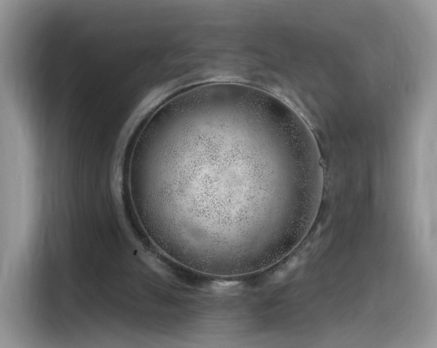 X0000115770055200911201226