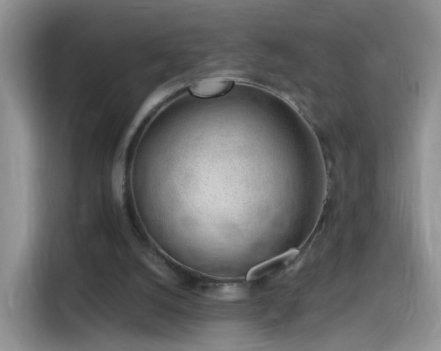 X0000115770056200911201226