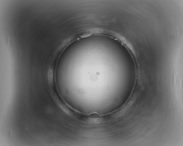 X0000115770057200911201227