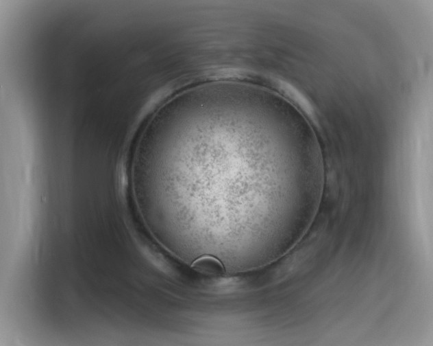 X0000115770059200911201227