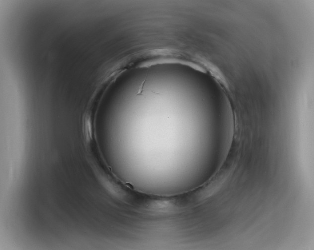 X0000115770061200911201227