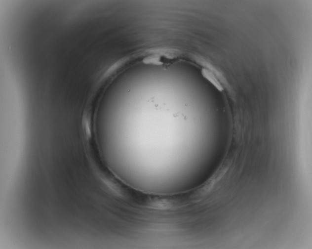 X0000115770062200911201227