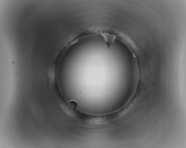 X0000115770065200911201227