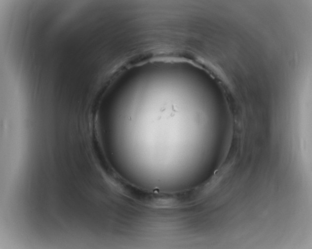 X0000115770066200911201227