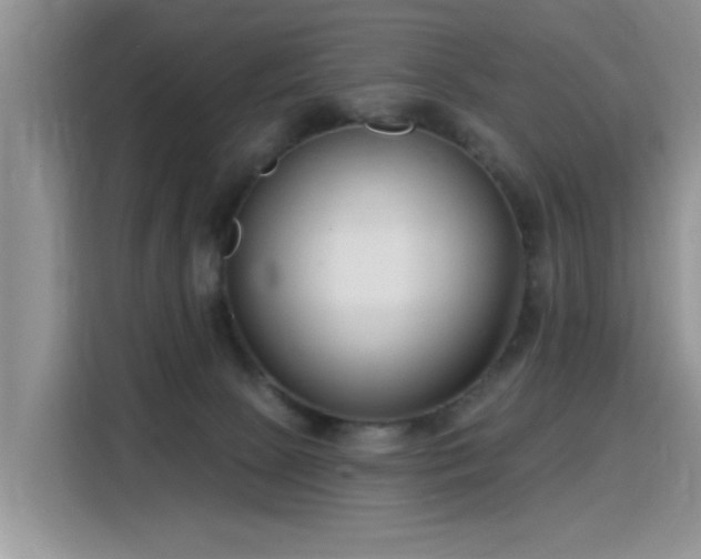 X0000115770081200911201227