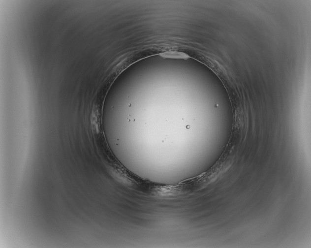 X0000115770092200911201227
