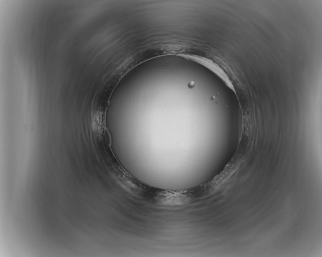 X0000115770093200911201227