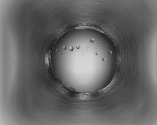 X0000115770094200911201227