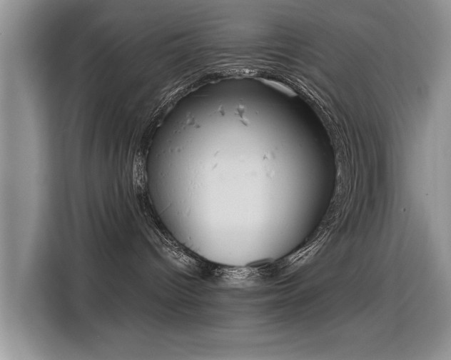 X0000115770096200911201227