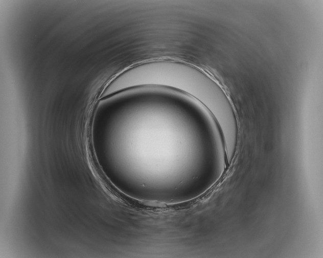 X0000115770097200911201226