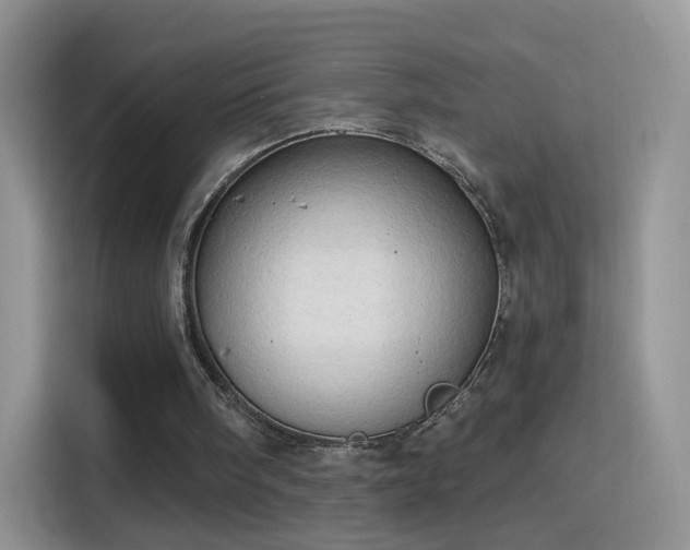 X0000115770098200911201226