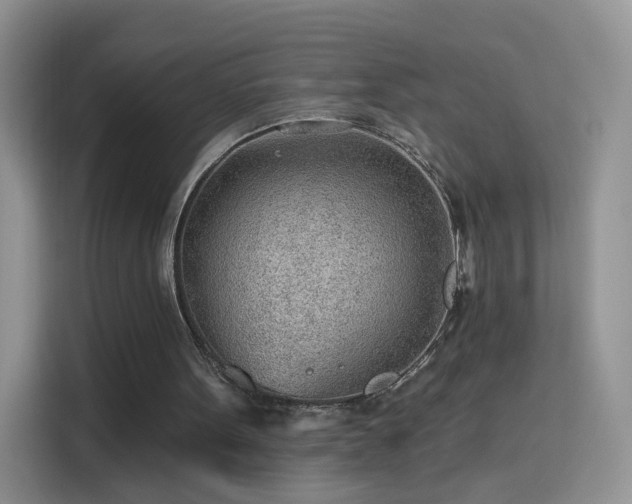 X0000115770099200911201226