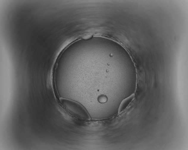 X0000115770100200911201226