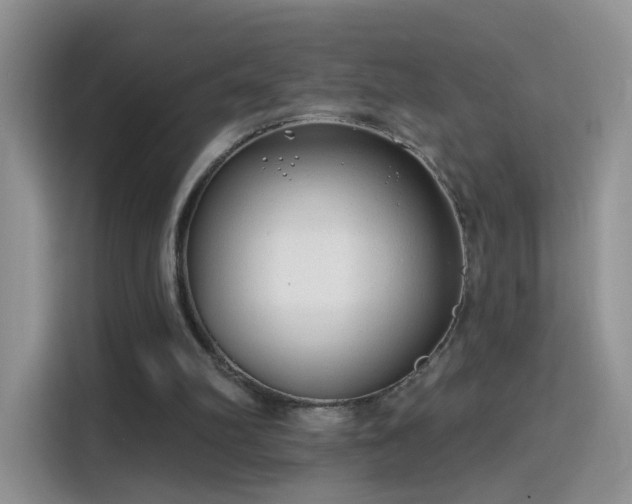 X0000115770102200911201226
