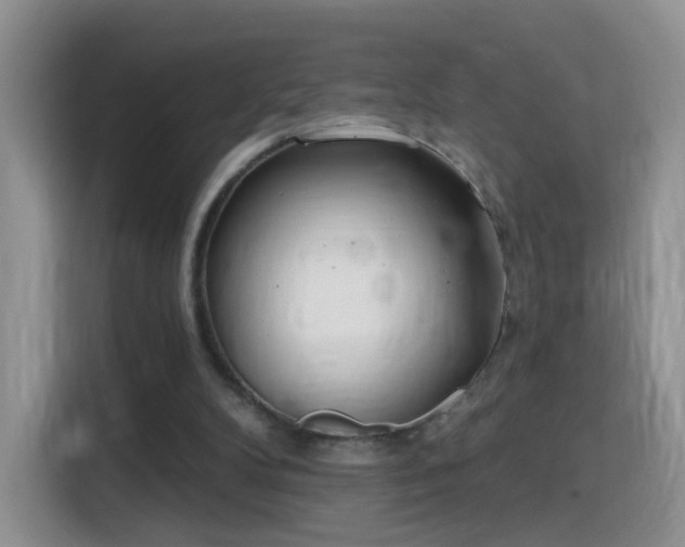 X0000115770104200911201226