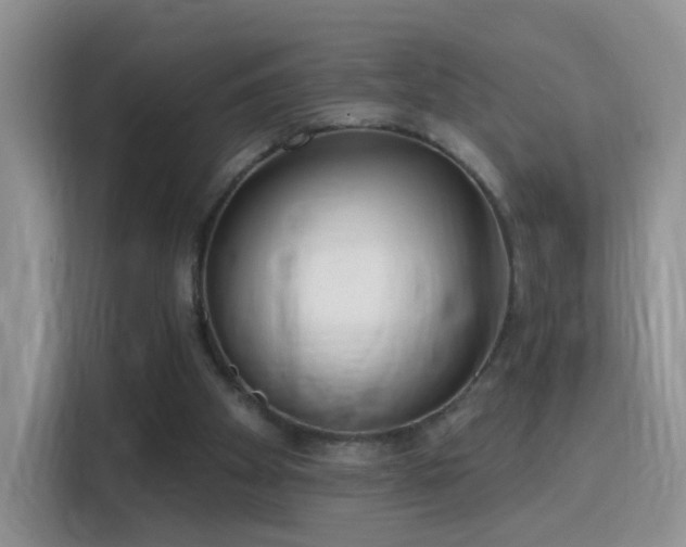 X0000115770105200911201226