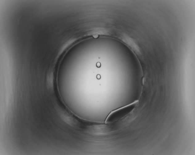 X0000115770108200911201226