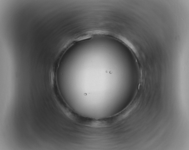 X0000115770109200911201226