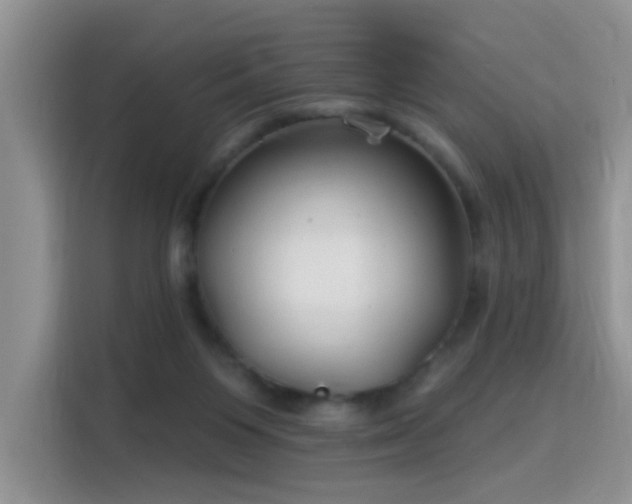 X0000115770119200911201226