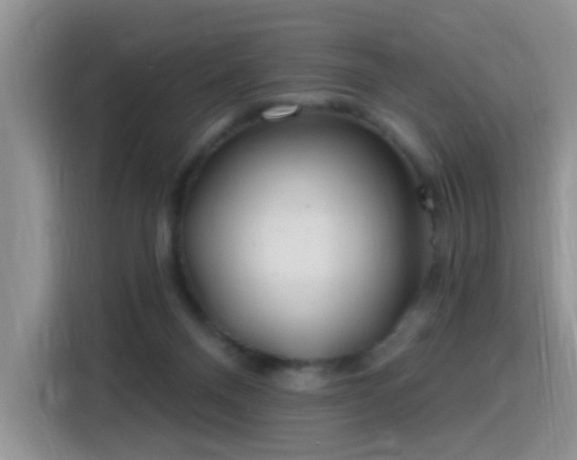 X0000115770120200911201226