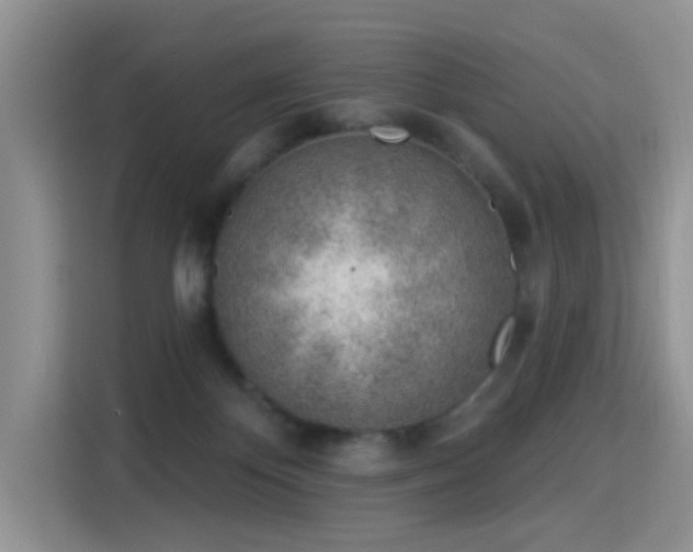 X0000115770124200911201226