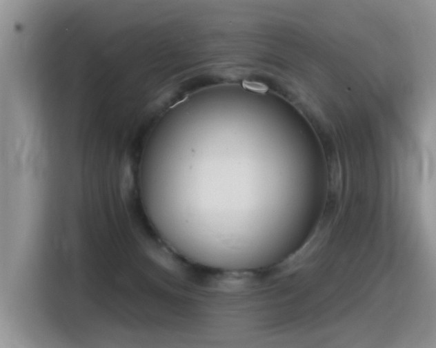 X0000115770128200911201226