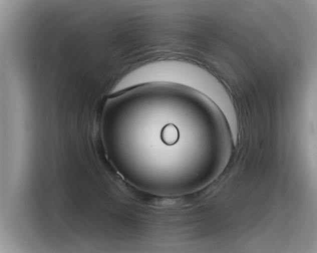 X0000115770129200911201226