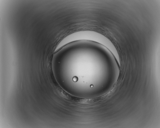 X0000115770136200911201226