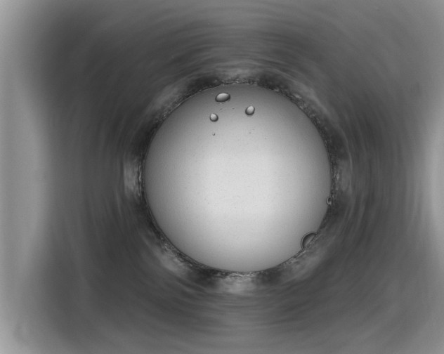 X0000115770138200911201226