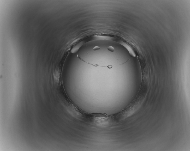 X0000115770139200911201226
