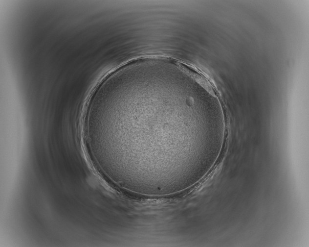 X0000115770145200911201225