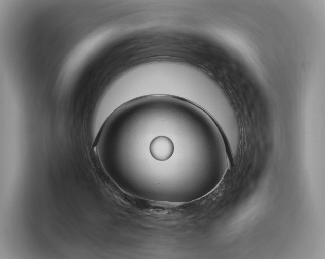 X0000115770146200911201225
