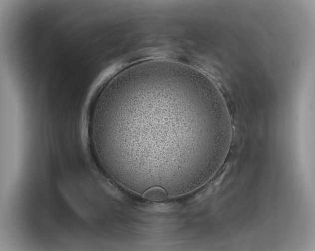 X0000115770149200911201225