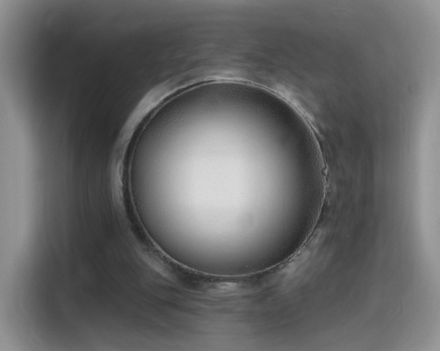 X0000115770151200911201225