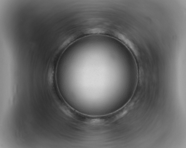 X0000115770153200911201225