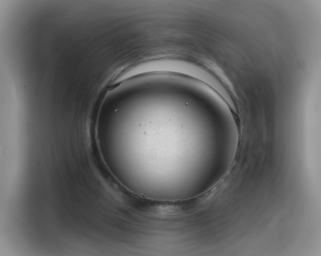 X0000115770154200911201225