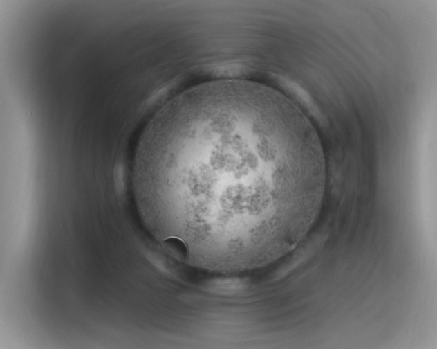 X0000115770161200911201225