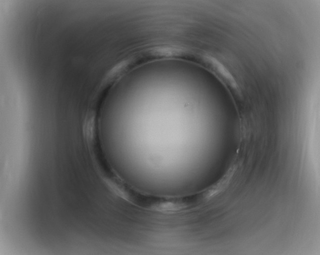 X0000115770163200911201225