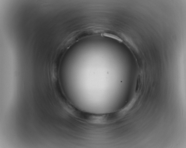 X0000115770170200911201225