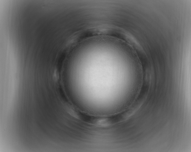 X0000115770173200911201226