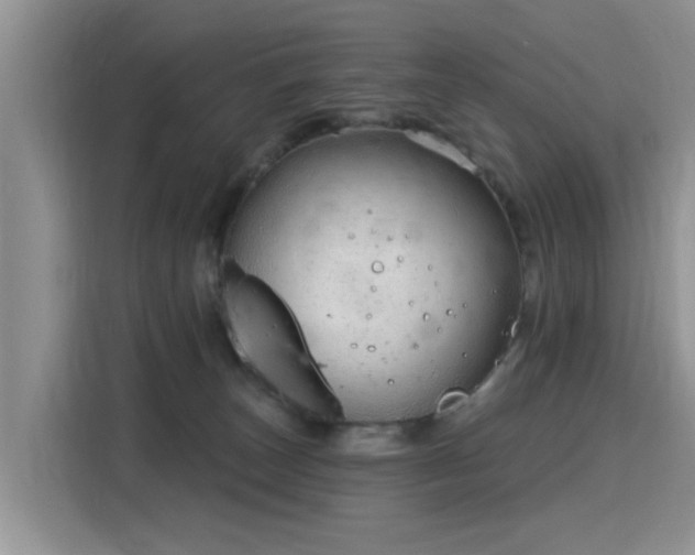 X0000115770179200911201226