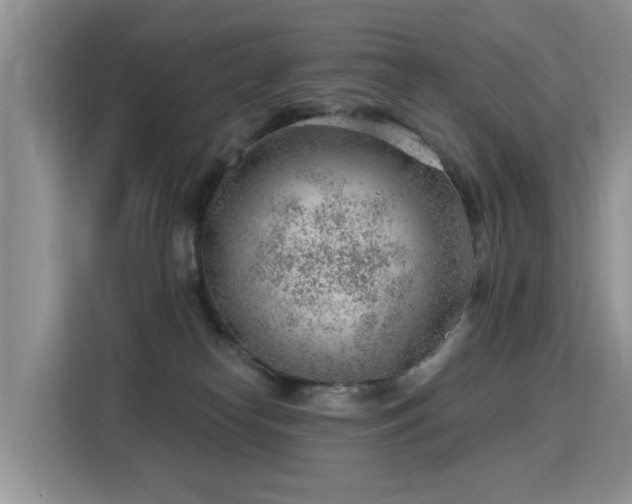 X0000115770182200911201226