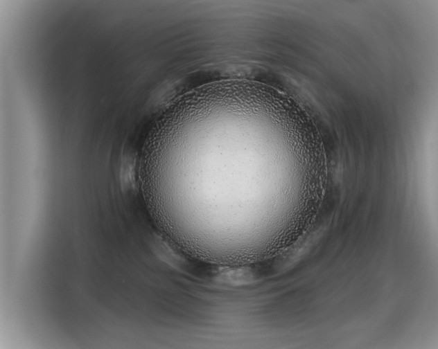 X0000115770185200911201226