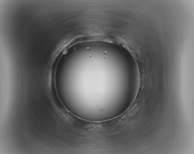 X0000115770194200911201225