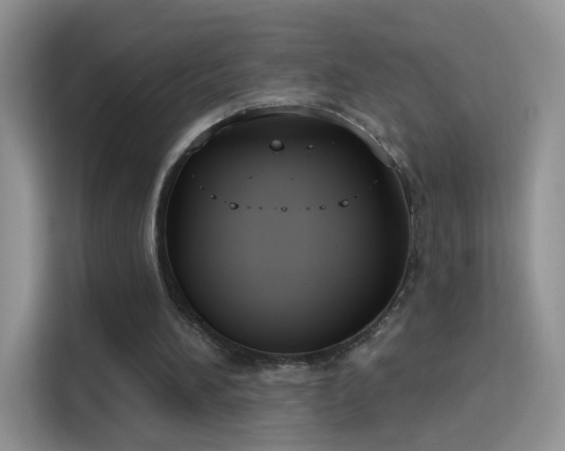 X0000115770196200911201225