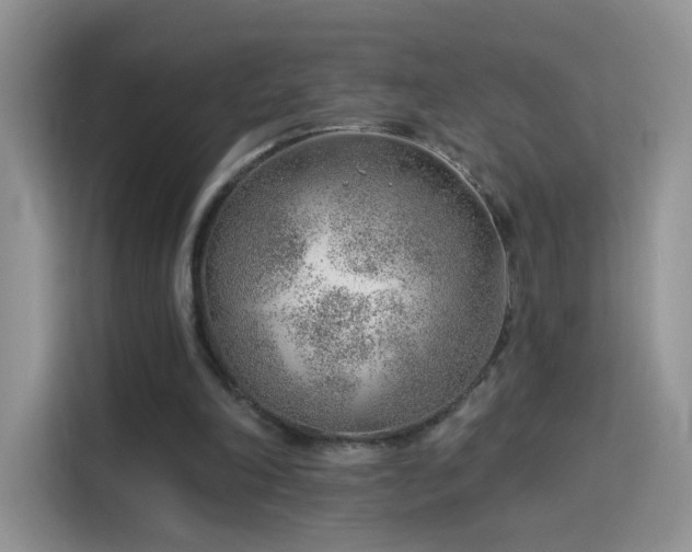X0000115770198200911201225